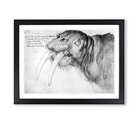 Albrecht Durer Head of a Walrus Classic Painting Framed Wall Art Print, Ready to Hang Picture for Living Room Bedroom Home Office Décor, Black A4 (34 x 25 cm)