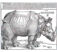 Albrecht Durer photo A4 rhinoceros 1515