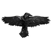 Alchemy Black Raven Hair Clip