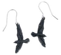 Alchemy Gothic Black Raven Earring black Onesize