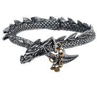 Alchemy Gothic Dragon's Lure Bracelet silver coloured Onesize