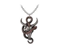 Alchemy Gothic Servant of Baphomet Necklace silver coloured Onesize