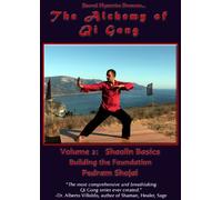 Alchemy of Qi Gong 2: Sholin Basics - Building the [DVD] [2009] [Region 1] [US Import] [NTSC]