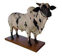 Alcohol Dispenser, Table Drinks Dispenser Design, Decorative Table Bourbon Container for Housewarming Party, Travel, Birthday, Home, Retirement