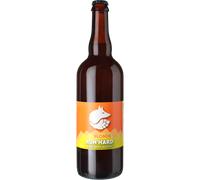 Alcohol-free Beer - Pale Ale - Run'hard