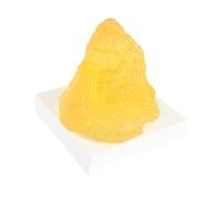 ALCXAZS Human Body Fat Fat Display Model Fatty Tissue Motivation Tool 7cm Compact And Realistic Silicone Excellent Nutritionist Anatomical Science Course Model