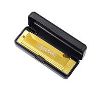 ALCXAZS Musical Instrument Kids 10 Holes Harmonica Sized Mouth Organ Providing Joyful Learning Experience Through Music Harmonica For Kids Educational Toy Beginners, Gold, 104x28x19mm