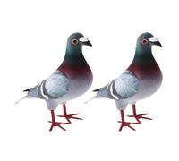 ALCXAZS Realistic Figurines Simulated Bird Model Hand Painted For Unique Displays For Collectors And Childrens Educational Toys Cake Toppers Birthday Gift For Toddlers, 2 pcs, Style A