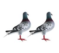 ALCXAZS Realistic Figurines Simulated Bird Model Hand Painted For Unique Displays For Collectors And Childrens Educational Toys Cake Toppers Birthday Gift For Toddlers, 2 pcs, Style B