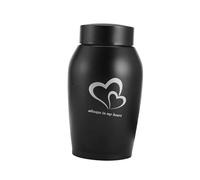 ALCXAZS Stainless Steel Keepsake Case Memory Loose Premium Cremation Urn Pet Urns For Dogs Ashes Unique Organizer Options Pet Urns For Dogs Ashes Cats, Black, 8.5x18.5cm