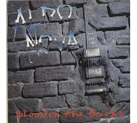 Aldo Nova - Blood on the bricks (1991) [VINYL]