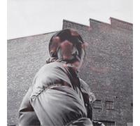 Aldous Harding - Warm Chris [VINYL]