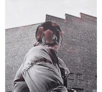 Aldous Harding - Warm Chris [VINYL]
