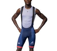 Ale Prime British Federation 2025 Bib Shorts L Multicolor