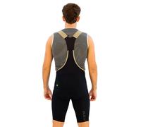 Ale Pr-e Master 2.0 Bib Shorts L Black
