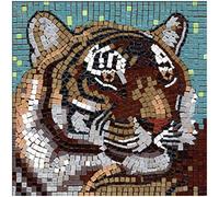 ALEA Mosaic Tigris Mosaic Set 20 x 20 cm