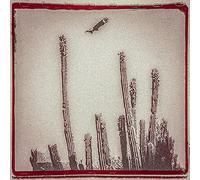 Alejandro Escovedo - La Cruzada [VINYL]