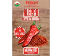 Aleppo Chilli Seeds - 10 Fresh Seeds