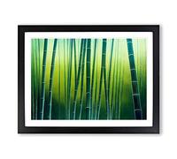 Alert Bamboo Forest Framed Print | A2 Black Framed Wall Art | Ready to Hang | Modern Landscape Picture | Living Room Bedroom Lounge Office