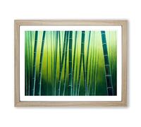 Alert Bamboo Forest Framed Print | A3 Oak Framed Wall Art | Ready to Hang | Modern Landscape Picture | Living Room Bedroom Lounge Office