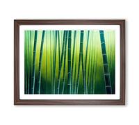 Alert Bamboo Forest Framed Print | A4 Walnut Framed Wall Art | Ready to Hang | Modern Landscape Picture | Living Room Bedroom Lounge Office