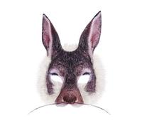 Aleshime Bunny Mask, Realistic Animal Fake Fur Face Mask, One Size for Adults Kids, Themed Parties, Halloween Party, Dress-up, Role Play, World Book Day