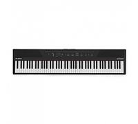 Alesis Concert