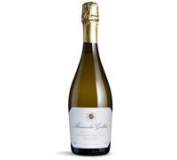 Alessandro Gallici Prosecco (750ml Bottle) Extra Dry Italian Sparkling Wine with Vibrant Apple, Pear, and Citrus Notes (11% ABV)
