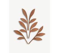 Alessi The Five Season MW64 2 F Design Fragrance Diffuser Leaves, Mahogany Wood, Ahhh