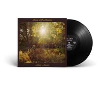 Alex Amen - Sun of Amen [VINYL]