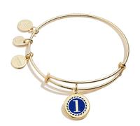 Alex and Ani A20EBNUM1SG Expandable Numerology Infusion Bracelet Gold Color Shiny Blue Bracelet