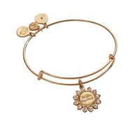 Alex and Ani Brighter Days Ahead Bangle