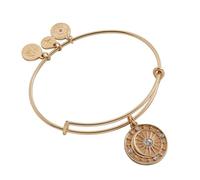Alex and Ani Cosmic Balance Charm Bangle, One Size, Brass, no gemstone