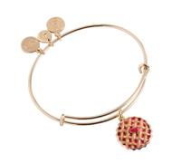 Alex and Ani Easy As Pie Charm Bracelet