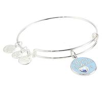 Alex and Ani Home is Where The Heart is Bangle Bracelet Shiny Silver One Size