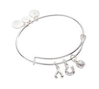 Alex and Ani Love and Luck Multi Charm Bracelet One Size Brass No Gemstone