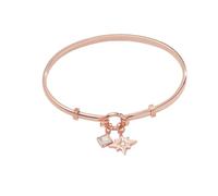 Alex and Ani North Star + Crystal Charm Clip Bangle, One Size, Brass, clear crystals