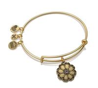 Alex and Ani Path of Symbols Expandable Bangle for Women, One Size, no gemstone