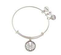 Alex and Ani Path of Symbols, Path of Life Bracelet, One Size, Brass, no gemstone