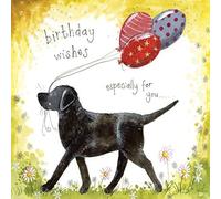 Alex Clark Birthday Wishes Labrador Dog Card - Black Lab - Flowers - Floral - Balloons - Greetings Cards - Cards for Birthday - Designed and Printed in the UK