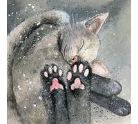 Alex Clark Cat's Toe Beans Blank Card - Cute Funny Card - Card For Any Occasion - Designed and Printed in UK