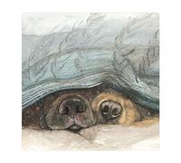 ALEX CLARK Dog Snouts Fridge Magnet - Sleeping Canine - Original Artwork - Fridge Magnet for Animal Lovers - Magnetic Art Tile - Gift Ideas - Designed in The UK...