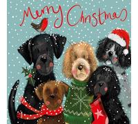 Alex Clark Festive Dogs Cards - Box of 8 Christmas cards, xmas card pack, ecofriendly packaging, made in the UK, dog, spaniel, labrador, border terrier