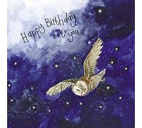 ALEX CLARK Happy Birthday Starlight Owl Card