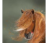 Alex Clark Horse Blank Card - Suitable For Any Occasion - Designed and Printed in UK