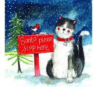 Alex Clark Santa Stop Christmas Card Pack (Pack of 5 Cards) Cat & Robin Image
