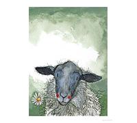 ALEX CLARK Sheep and Daisy Art Print