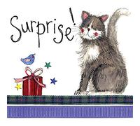 Alex Clark Surprise Birthday Cat Card