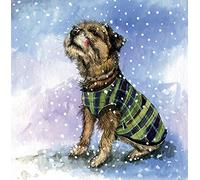 Alex Clark Winter Jacket Christmas Card Pack (Pack of 5 Cards) Border Terrier in a Jacket Image