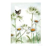 ALEX CLARK Wren and Daisies Art Print
